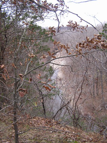fall-cliff-top
